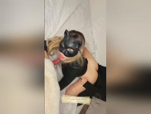 Exploring the Boundaries of Canine Submission