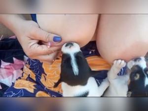 Breastfeeding Puppy: An Exciting Sexual Encounter