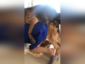 Bestiality video with a dog - ArtofZoo