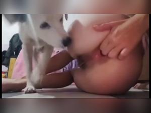 bestialityporn animalporn