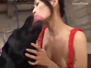 Bestiality and Zoophilia: A Girl and Her Best Friend