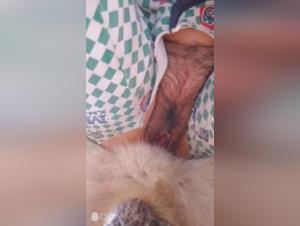 Asian Girl and Dog: An Exciting Encounter