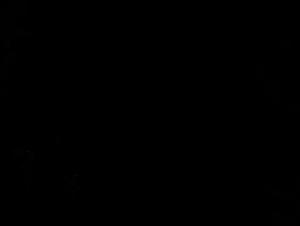 Veronica Silesto in a wild evening with a dog