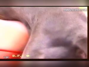 Zoophilia videos featuring young girls and big dogs