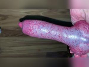 Intense lactating with a dog - Bestiality sex video