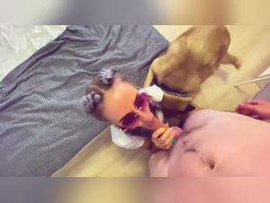 Best Animal Zoophile Porn for Adults