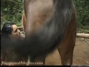 Compilation of bestiality videos: women and dogs