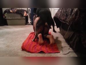 Lara and her dog in a shocking zoophilia video