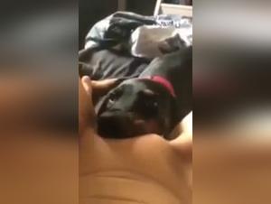 Bestiality with a Dog