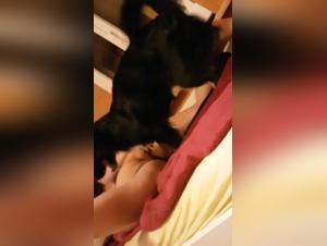 Bestiality sex video: licking with a dog