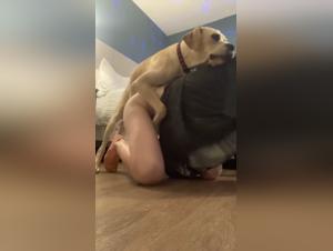 Denis and his new canine partner: a scene of intense zoophilia