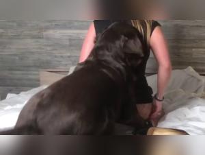 Veronica and her Louboutin Party: An unforgettable bestiality evening