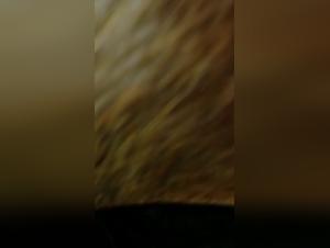 Woman fucking with a mare - Extreme zoophilia video