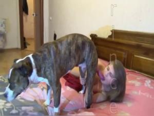 Intimate Video with a Dog