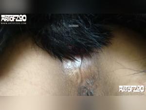 Intense bestiality: a woman and a dog