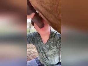 Dog Fart Sluts Best Beastiality Video