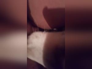 Woman submissive to her dog: a video of extreme zoophilia
