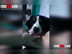 Bestial video: teenage girl and dog