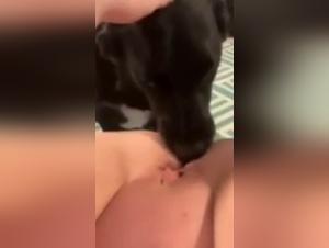 Bestiality sex video with a dog and a young woman