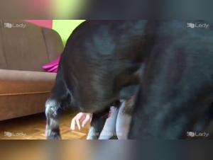 Why Dog Licking Is a Turn-On for This Young Man