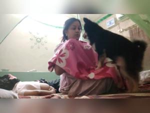 Unveiling Dog Pornography: Laws & Ethics