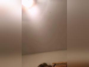 Woman and her dog: a video of bestial zoophilia