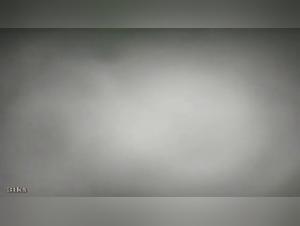 Woman and dogs, a beastly encounter