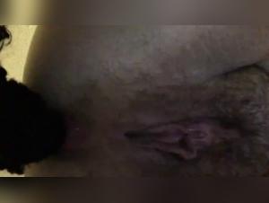 Porno zoo sexo animal - Una bbw puta se hace follar con su perro