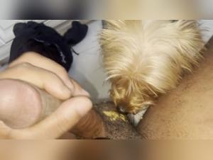 Hungry Yorkshire babe Marci in shocking bestiality scene