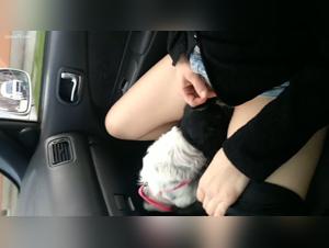 Bestiality: A woman and her dog