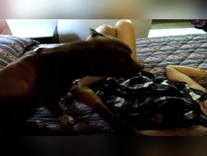 Videos zoofilia: Sexo con animales de vacaciones