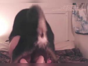 Forbidden Intimacy: Sex with a Dog