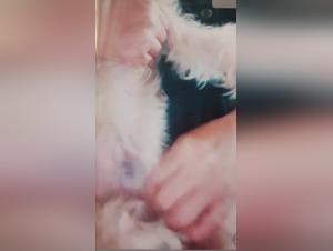 An Exciting Zoophile Experience with an Asian Woman