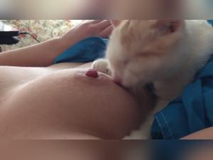 A forbidden encounter with a kitten