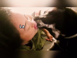 Verbotene Begegnung: Frau und Hund