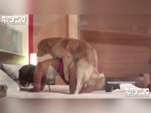 Juana, the Naughty female dog in Extreme Bestiality Videos