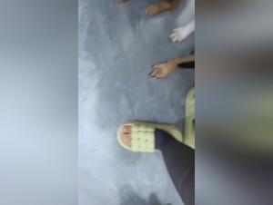 Complete Zoophilia Videos - An Extreme Experience