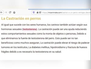 La guia definitiva sobre la bestialidad: sexo con perros y caballos