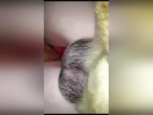 Intimate experience with a dog