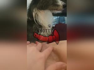 La chica se hace puta por el perro y su cuerpo