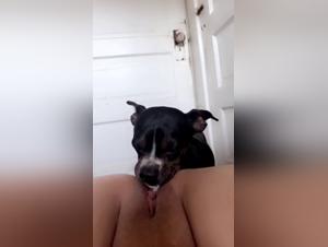 La mujer, el perro y el placer: un video porno que desee evitar por la intensidad de sus besos.