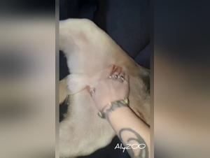 Zoo filia rides a huge hamster and gets pounded by the doggy: A sexy dog porn film