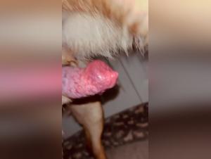 understanding beastporn & the alisonprod perspective