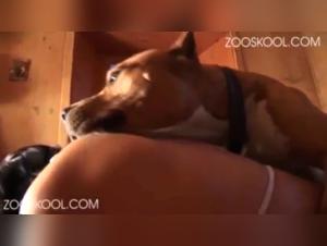 Extreme Zooophilia: Stray X and Zooskool's Dominance Play