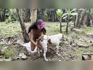 Female Zoo Animal Sex with Dog Threesome XXX