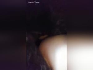 Forbidden Desires: Canine Bestiality