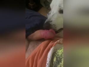 Bestial Video: Man and Dog