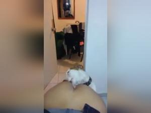 Bestiality sex video: Woman and dog