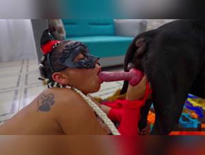 animalporno artofzoo hd