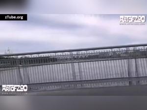 Bestiality and Extreme Sex: A Woman and Her Dog